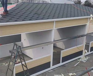 移動(dòng)別墅 (1)